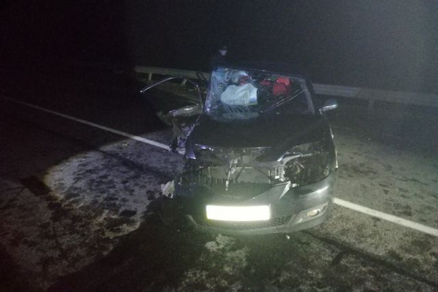 135713470_4900539956685026_2211146849375095797_o