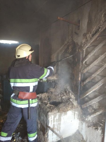 133675294_3624648230905125_6565289513154757015_n