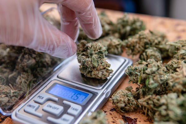 130186220_1061550877626383_4634692349900073891_n