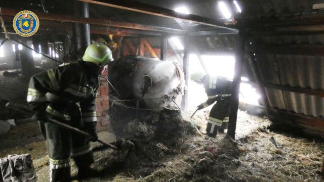 133128060_3617093698327245_8556548905071868441_o