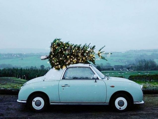 134106071_3578628468898415_1670010613969775452_o