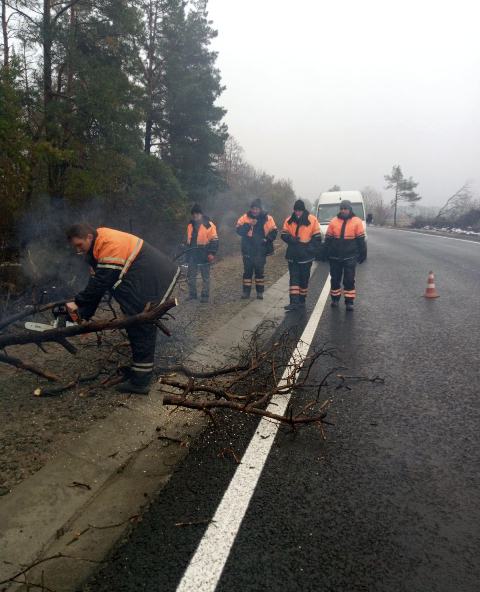 131551575_767662047169866_6162504771353124286_o