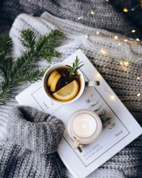 127561733_2736360946677812_398378047823899406_n