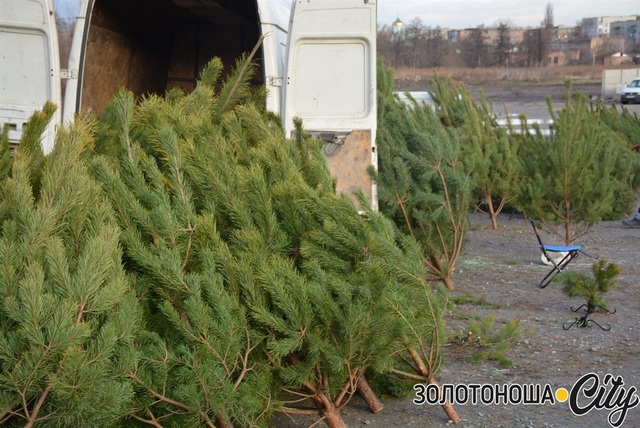 o_1epe5gchf1b8g1mjpkc01vpo1rkt2h