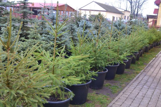 131427202_3696427197062416_4980981167558192736_o