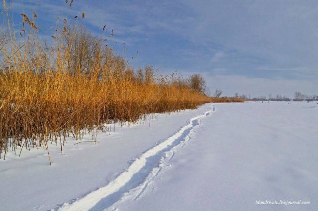 12418864_561247310710958_1529317984028043129_o