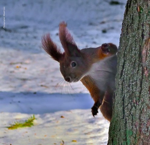 264093018_1993285580840450_5008985439973728439_n