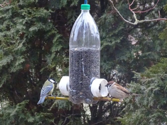 Foto_5_Hodivnytsia_bunkernoho_typu_ta_synytsia_velyka_i_horobets_polovyy-1024x768