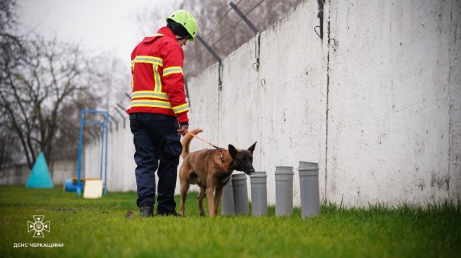 591762626_1279821670849204_3632141642696519429_n