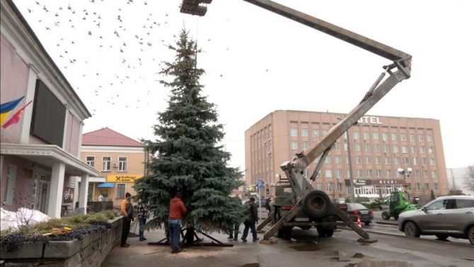 У Золотоноші встановлюють ялинку до свят. Суспільне Черкаси