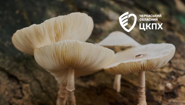 595692135_827948406715405_3128955752411303869_n