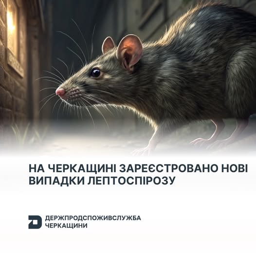 594984220_1239452708213337_3256489206575292343_n