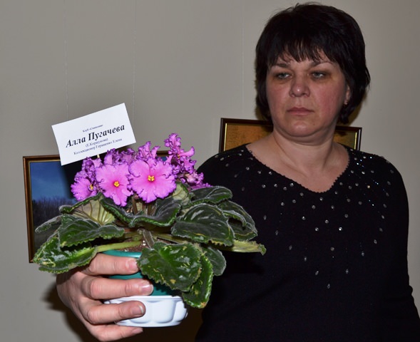 Черкаський колекціонер Олена Геращенко тримає квітучу Аллу Пугачову. Листочки цієї фіалки у черкащанки розкуповують найшвидше
