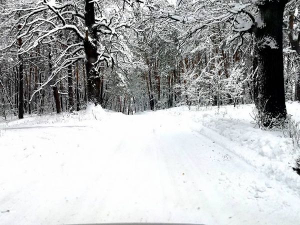 Фото Олександра Кулика