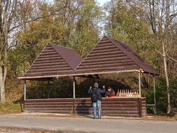 Журналіст навчає єдину того дня підприємливу людину з місцевих основам бізнесу